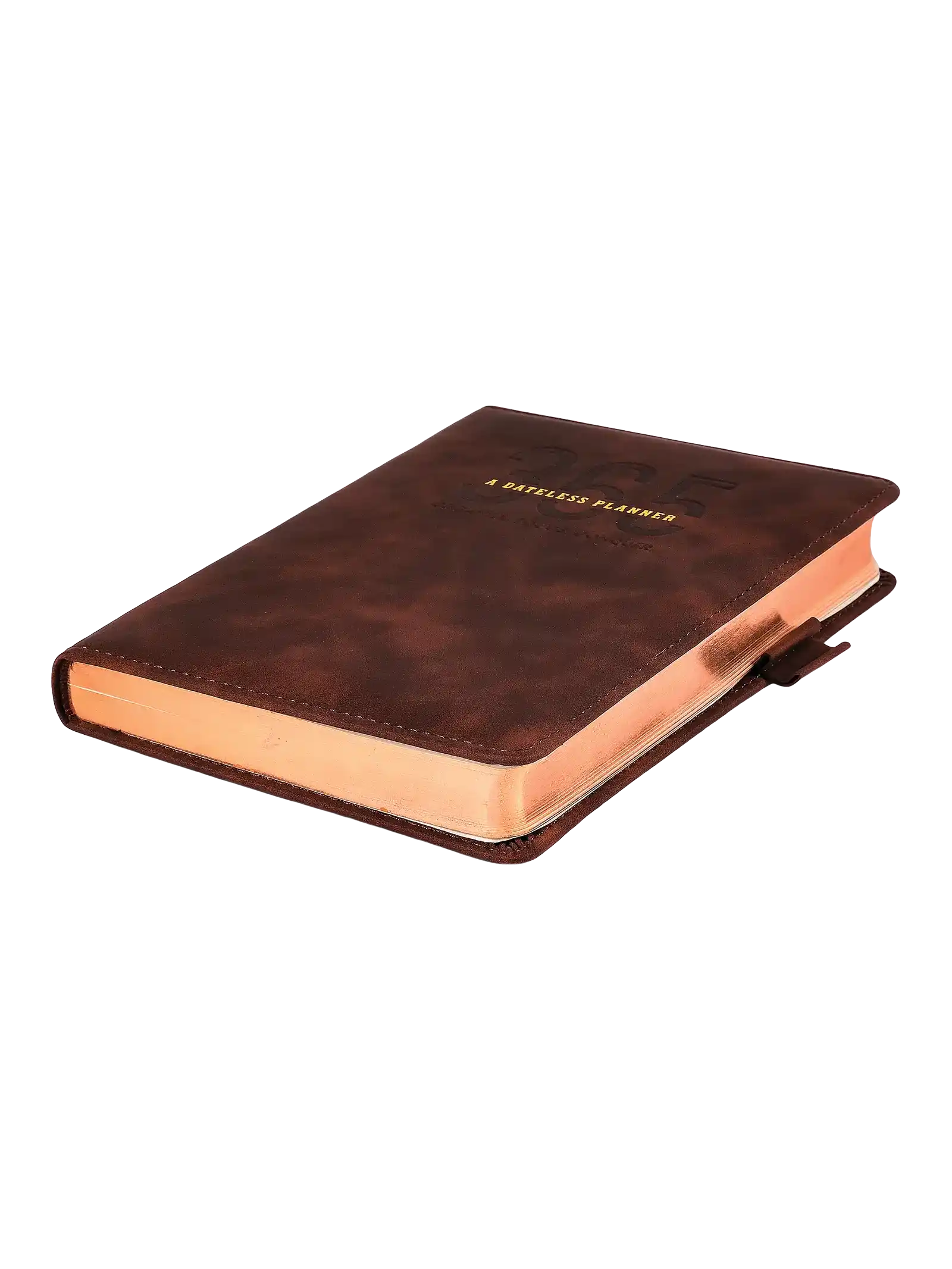 Scholar 416 Pages Ruled 365 Days Undated Planner (365PL)