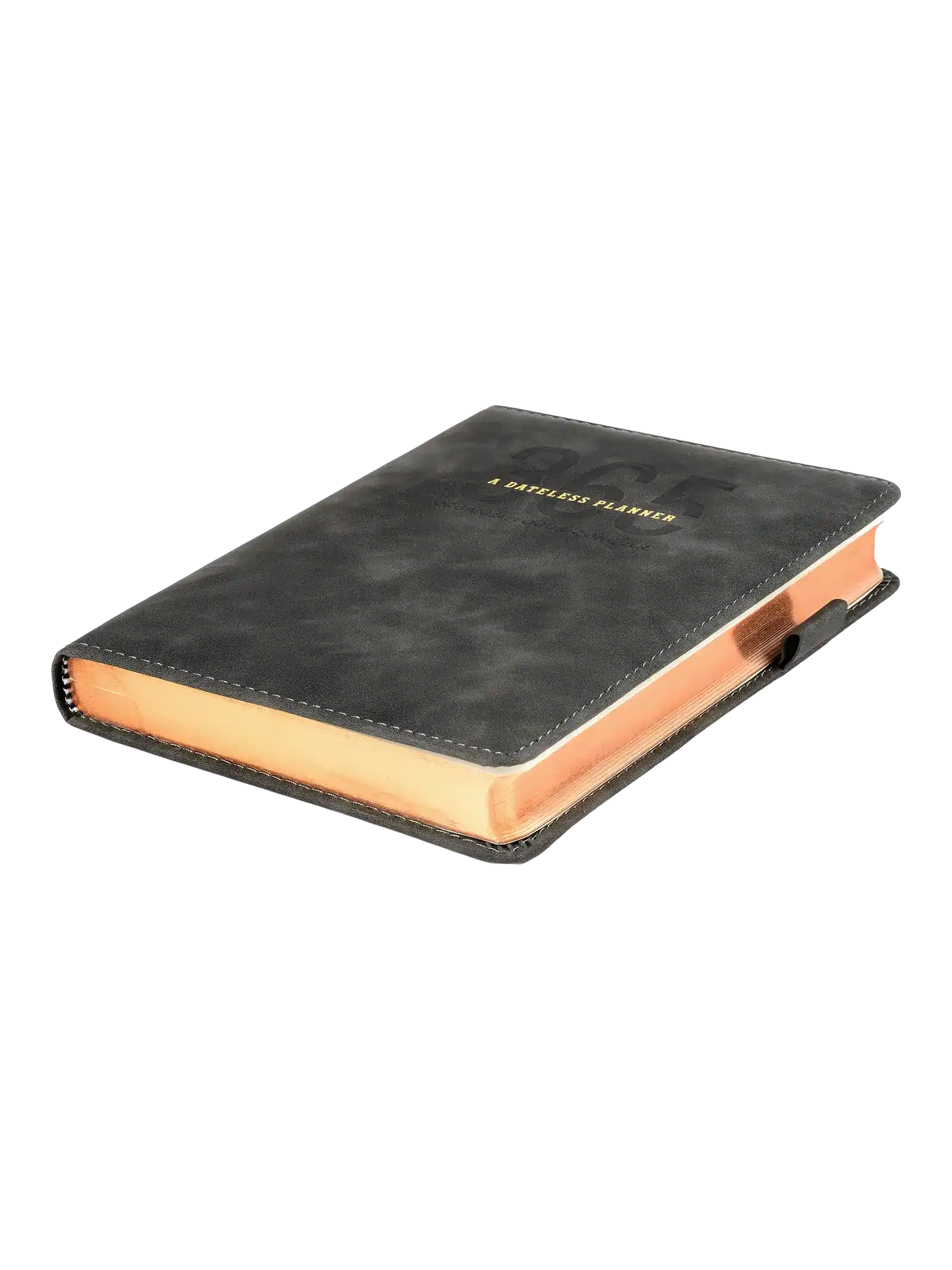 Scholar 416 Pages Ruled 365 Days Undated Planner (365PL)