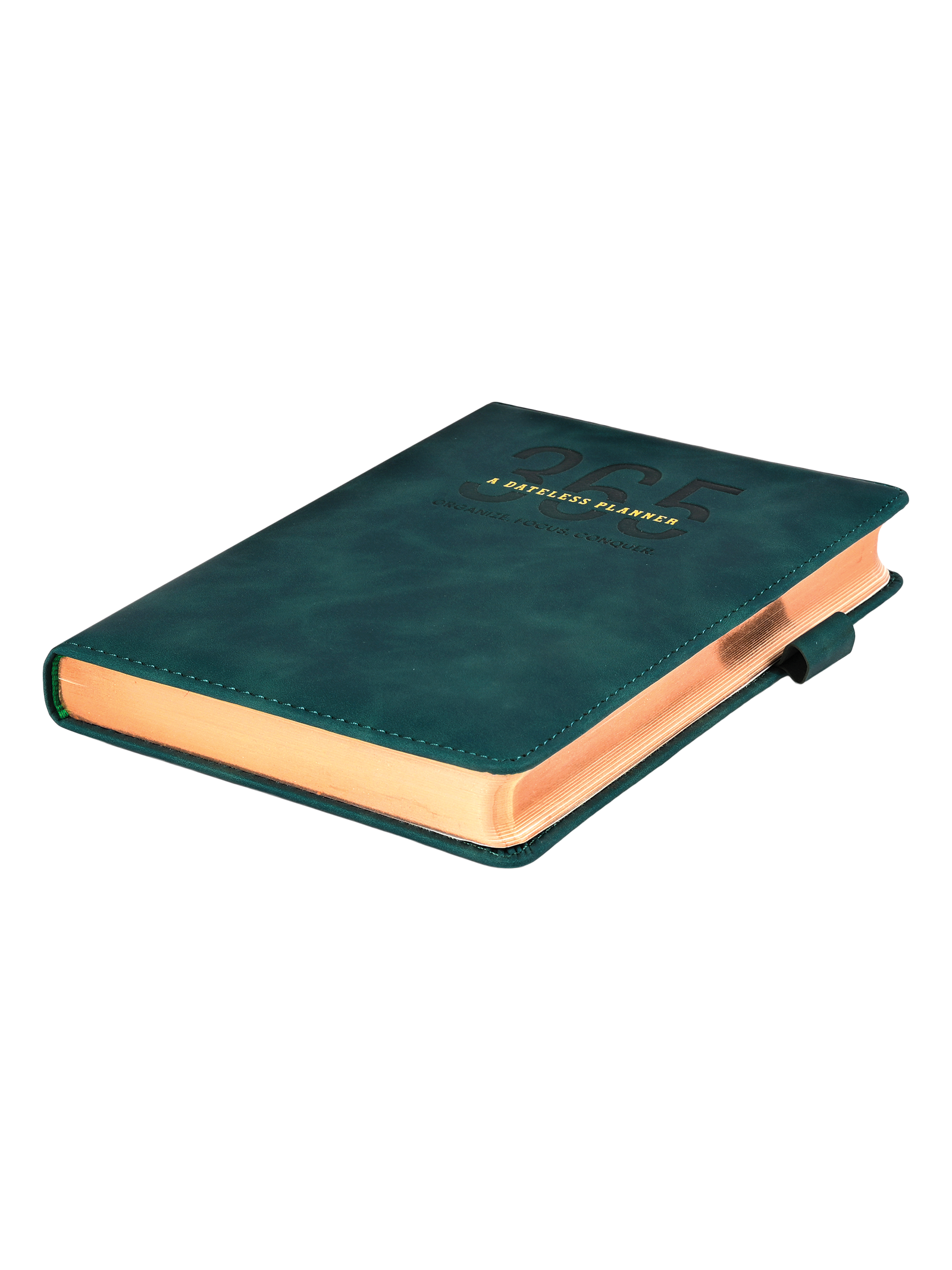Scholar 416 Pages Ruled 365 Days Undated Planner (365PL)