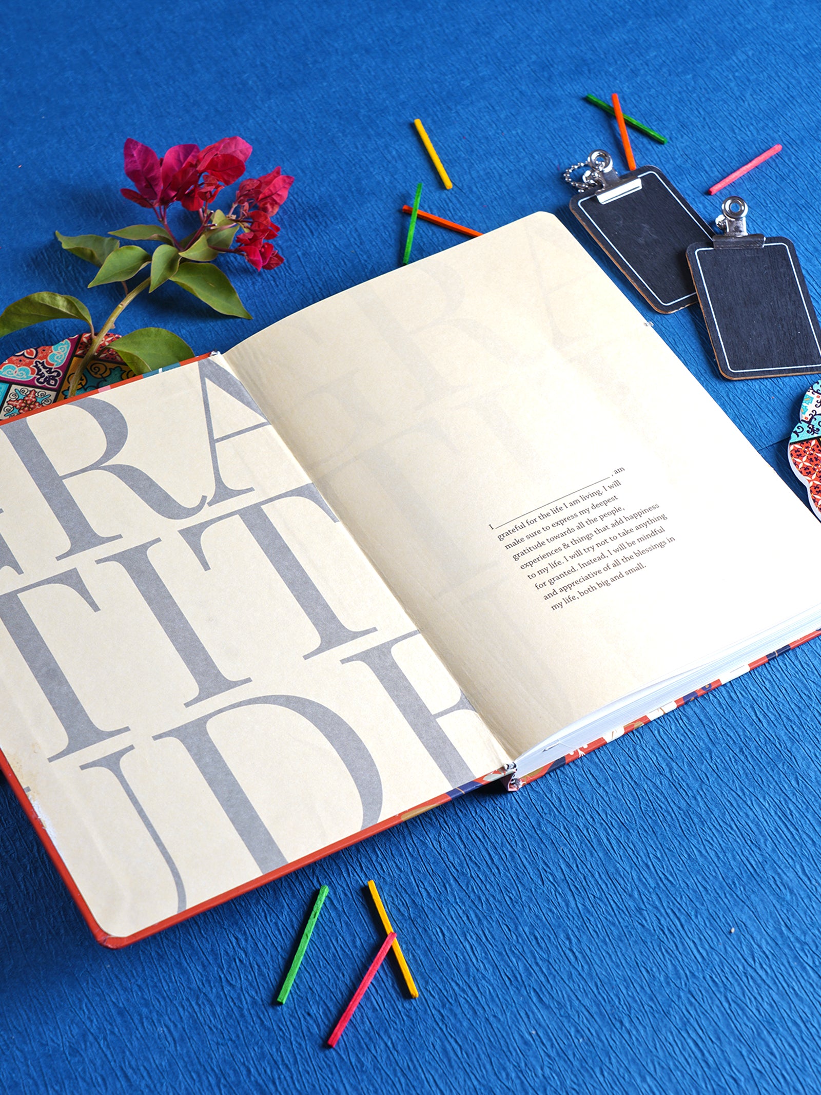 Scholar Artcover Gratitude Journal (AGR2-B)