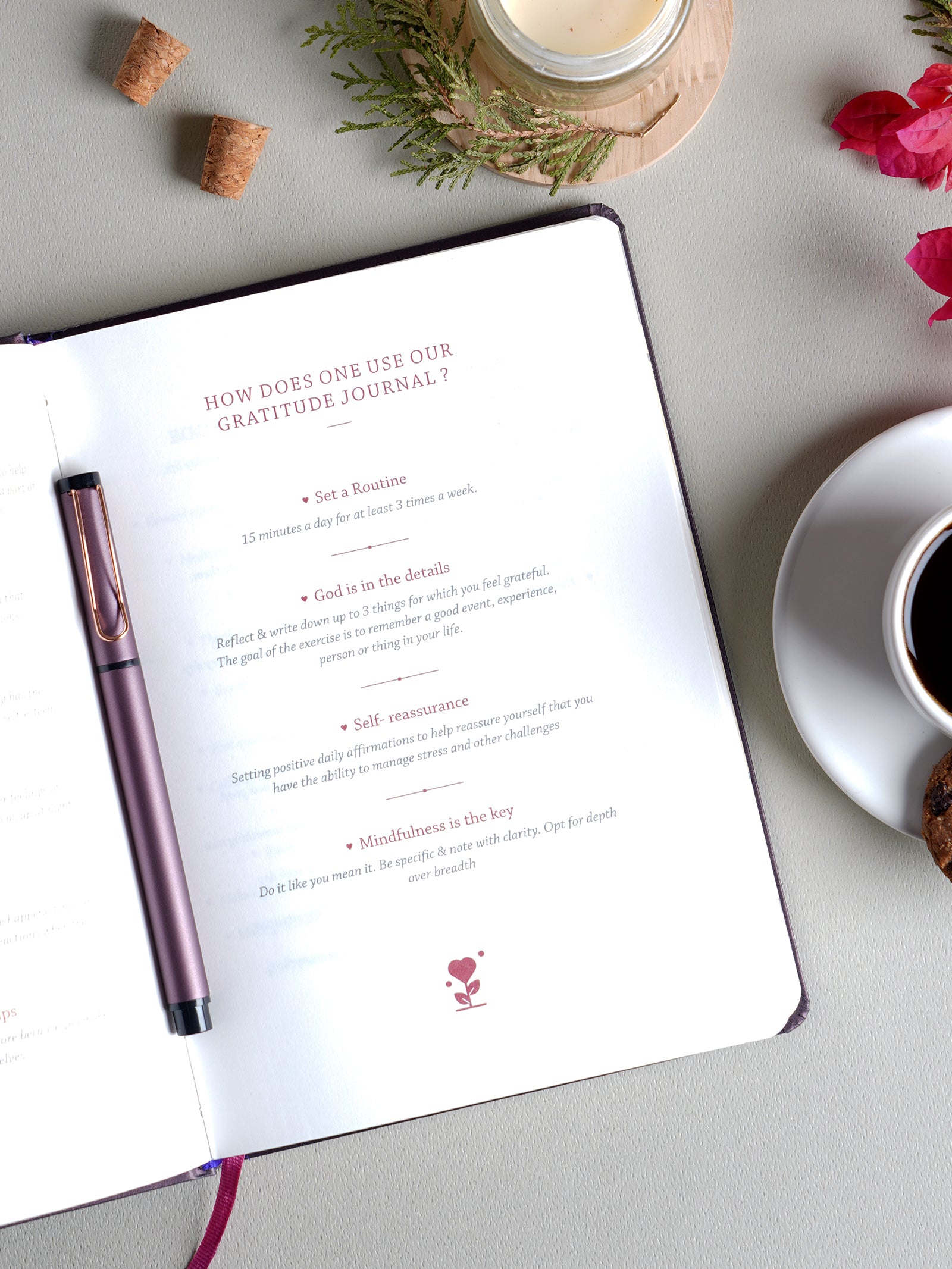 Scholar Premium Gratitude Journal - Gift Set Edition (JGR2) - Plum