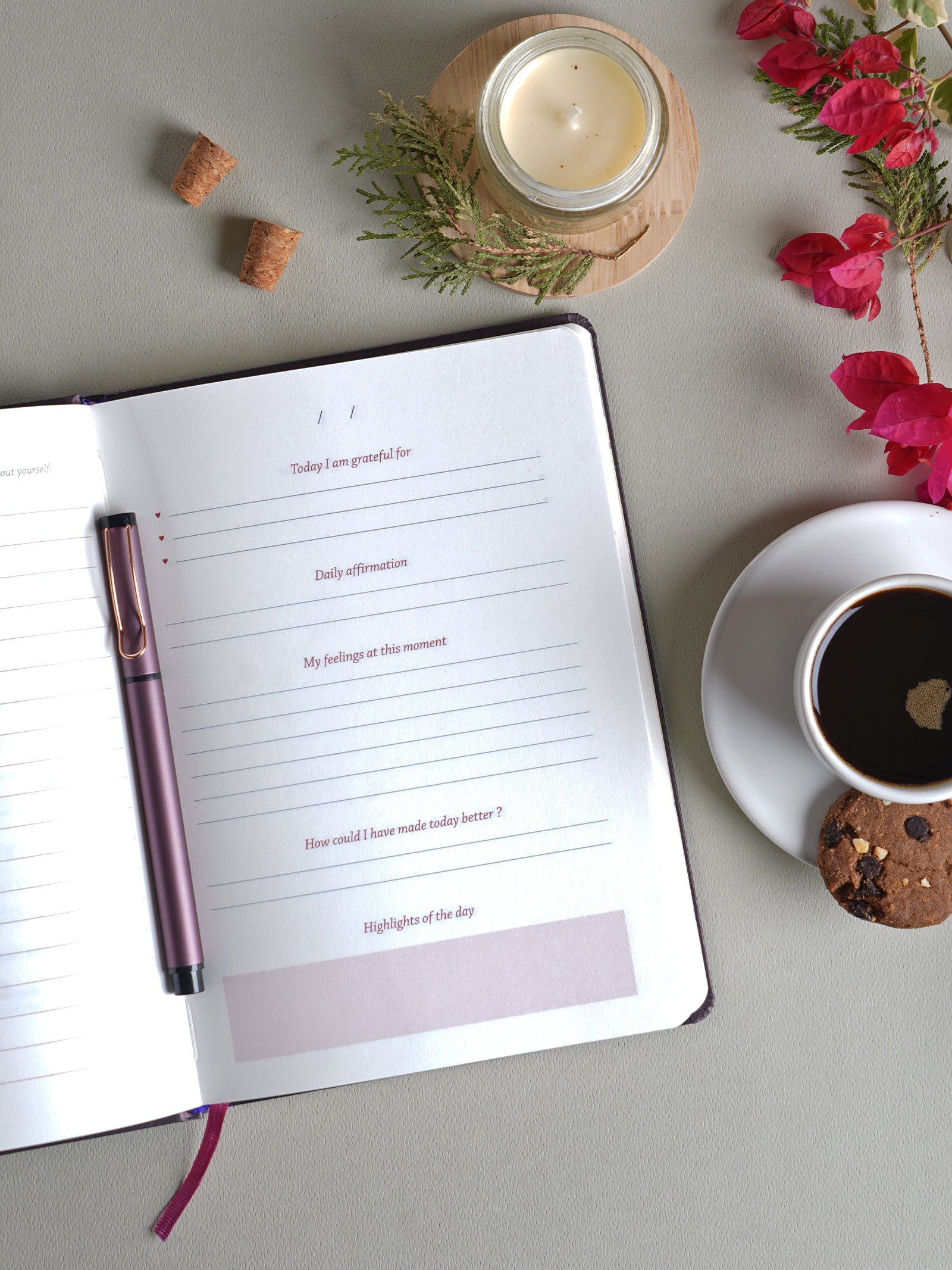 Scholar Premium Gratitude Journal - Gift Set Edition (JGR2) - Plum