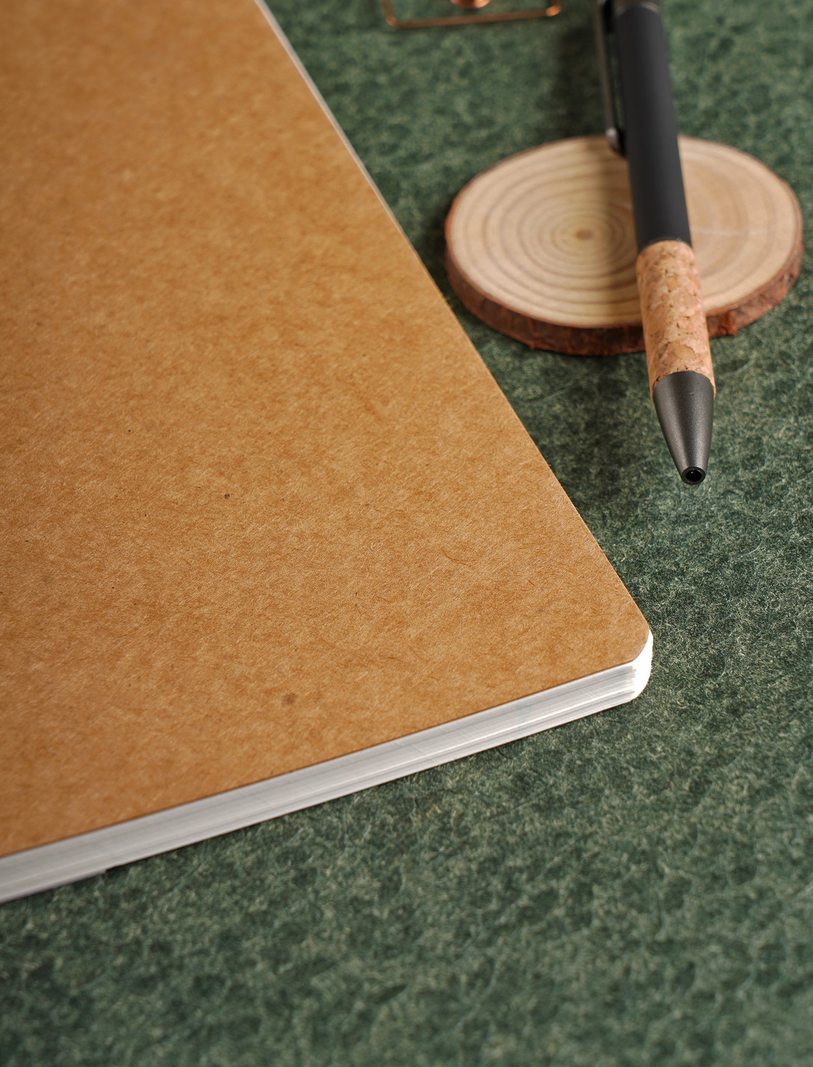 Scholar Paryavaran One Subject Notebook (PSN)
