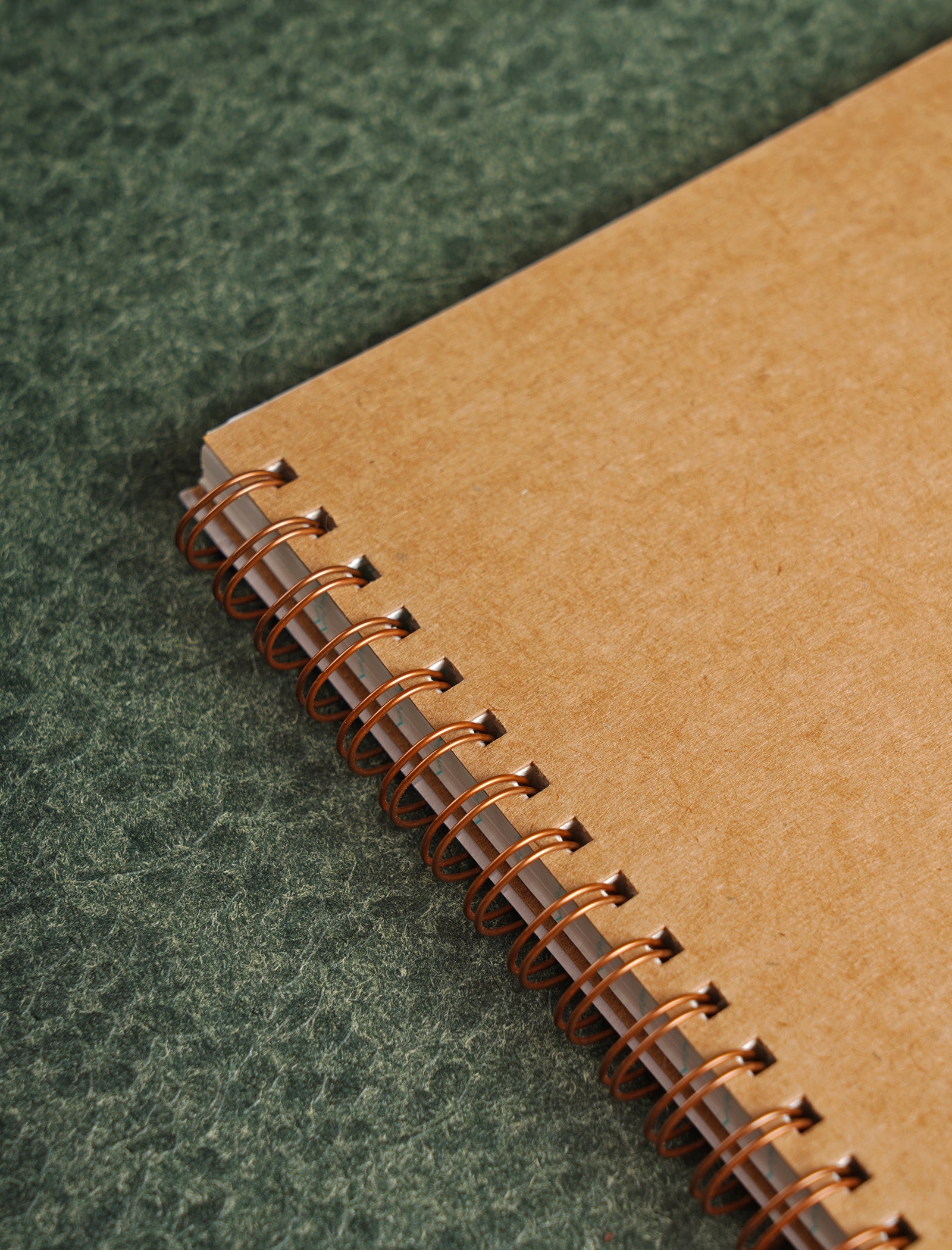 Scholar Paryavaran One Subject Notebook (PSN)