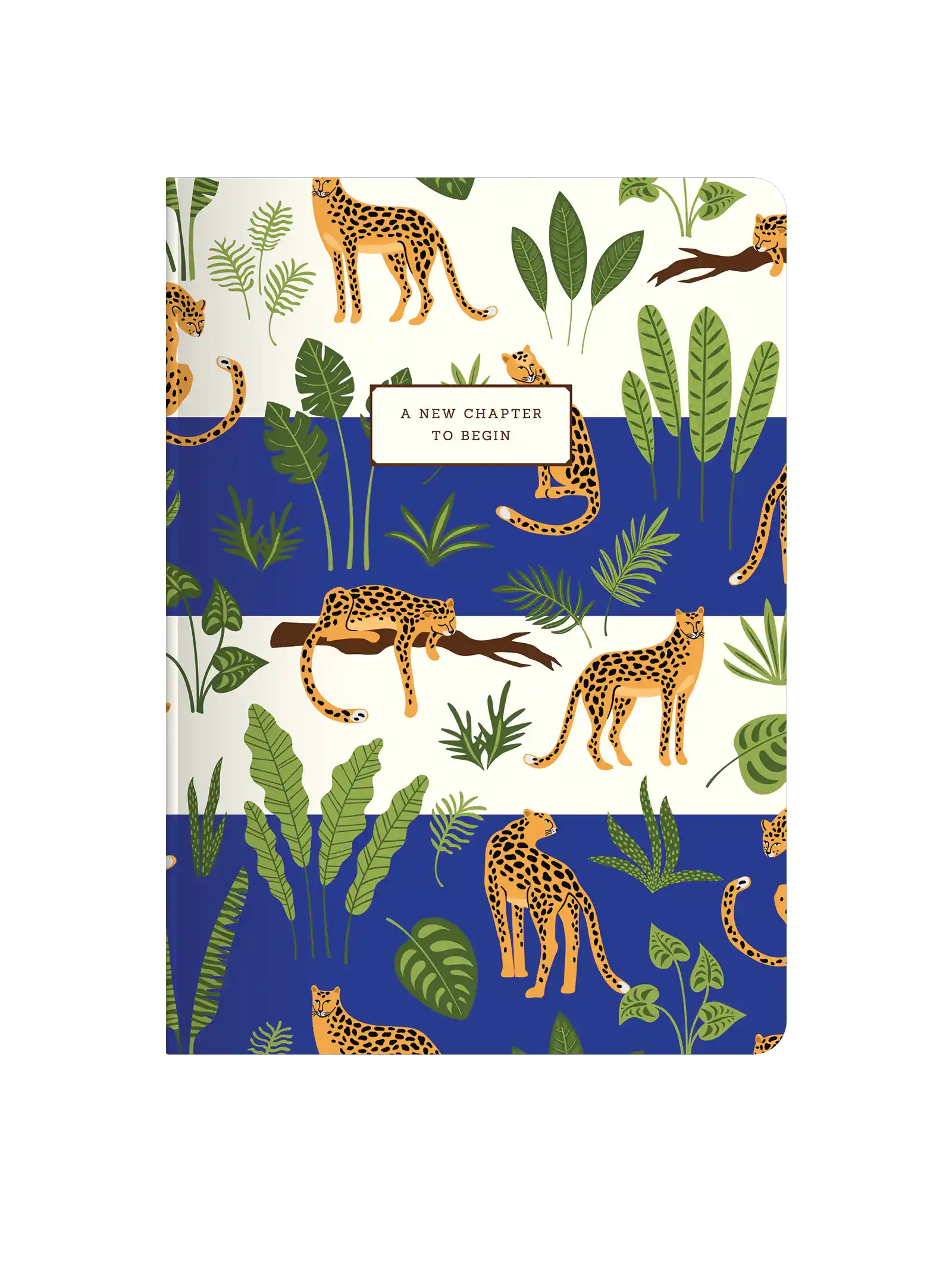 Scholar 160 Pages Ruled Softbound Notebook - Fusion (FSN) - New Chapter