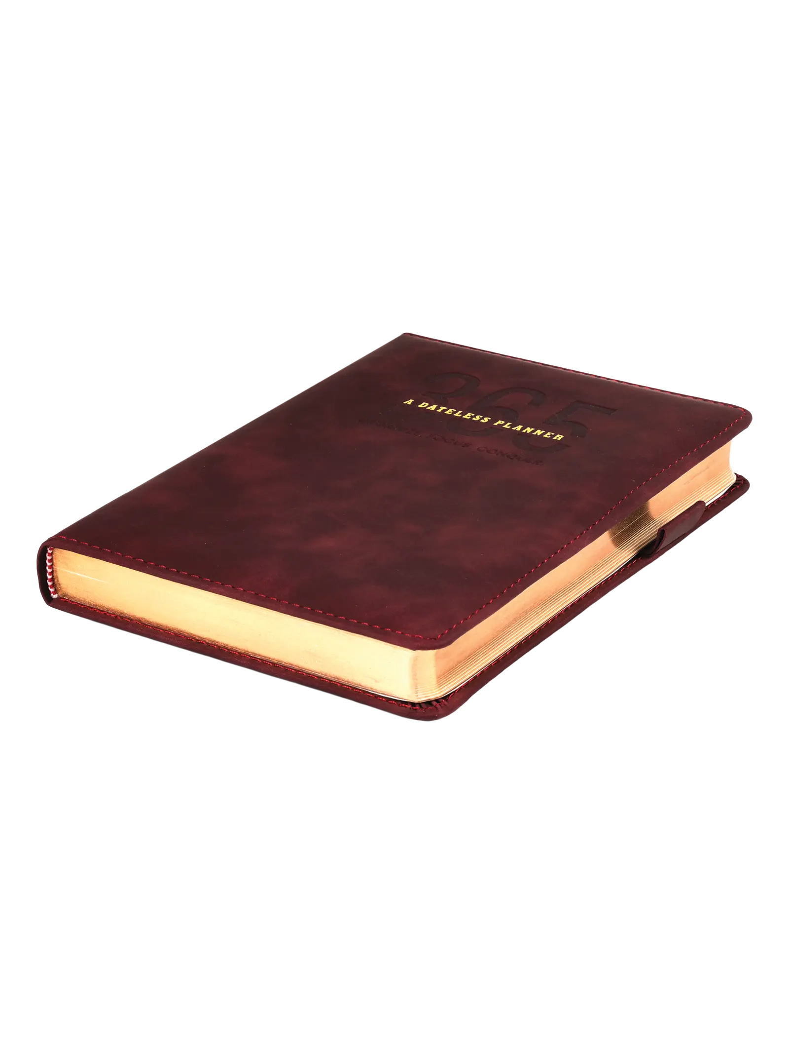 Scholar 416 Pages Ruled 365 Days Undated Planner (365PL)