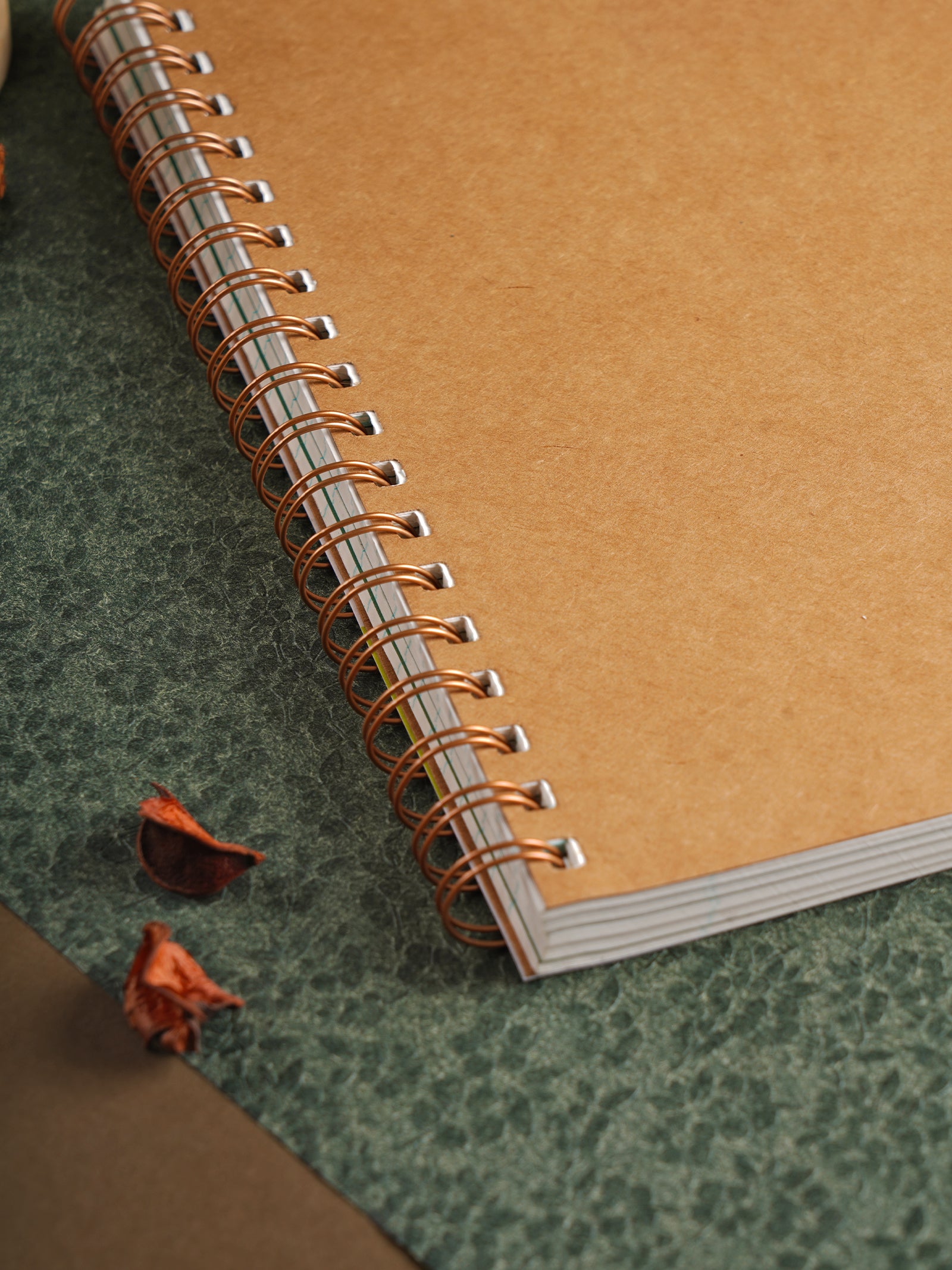 Scholar Paryavaran Five Subject Notebook (PSN)
