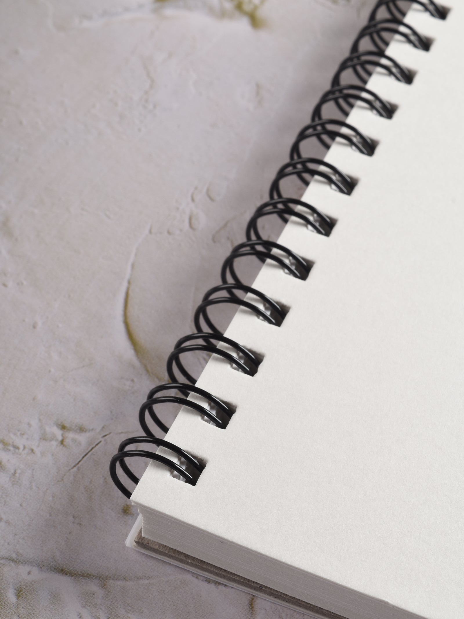 170 Gsm Sketch Shield (32 Sheets) (SS)