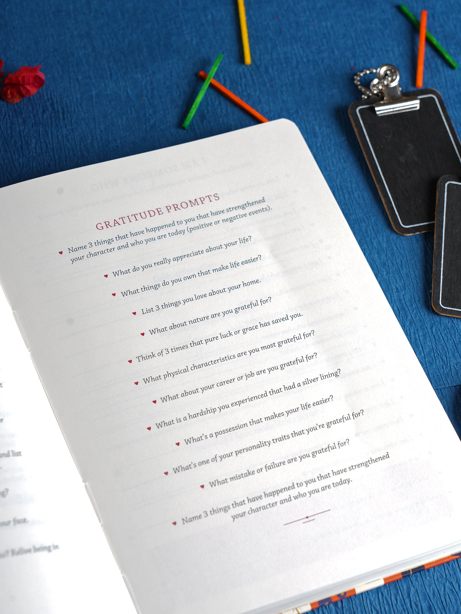 Scholar Artcover Gratitude Journal (AGR2-B)