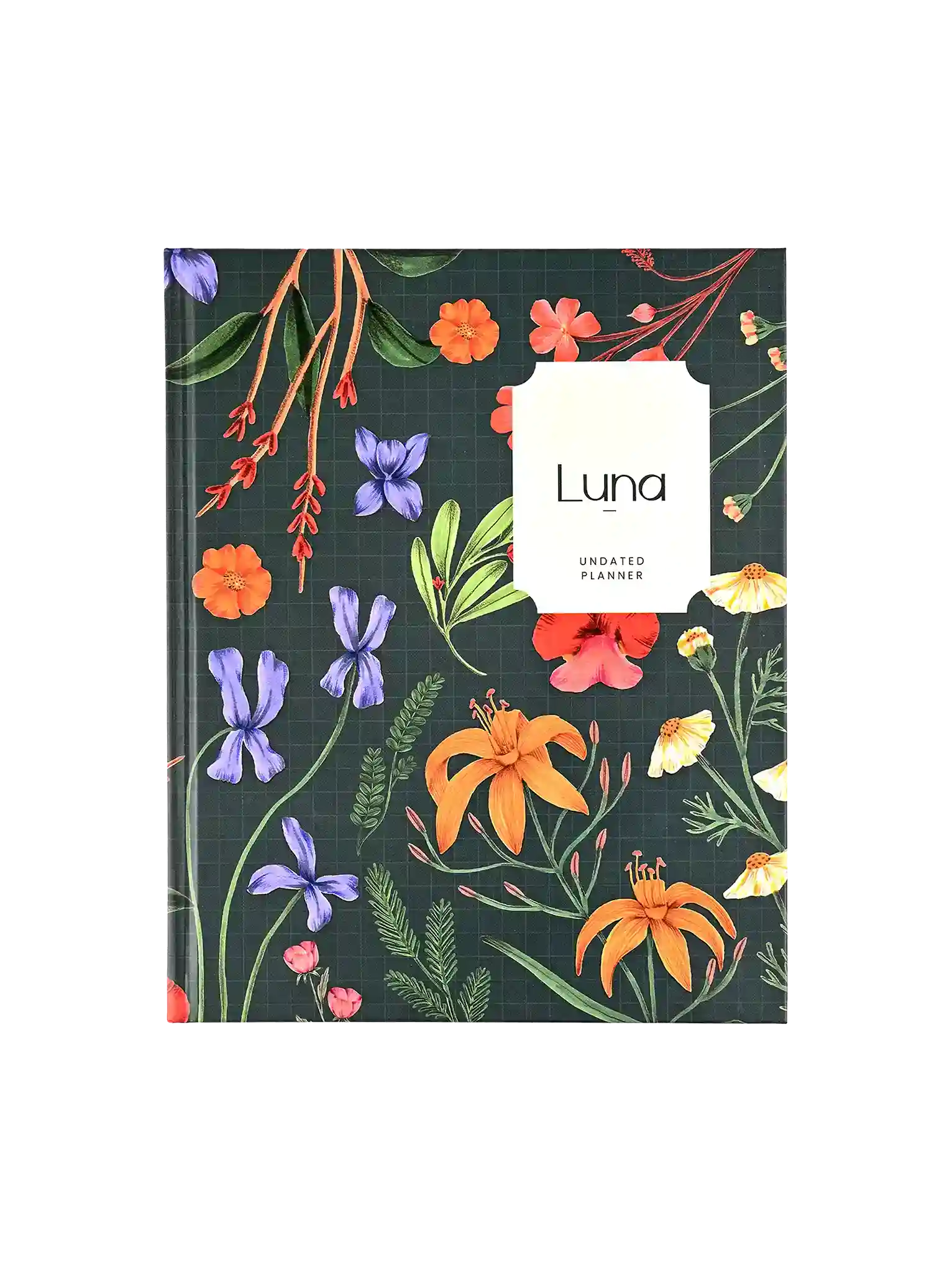 Scholar Luna Undated Planner - Teal
