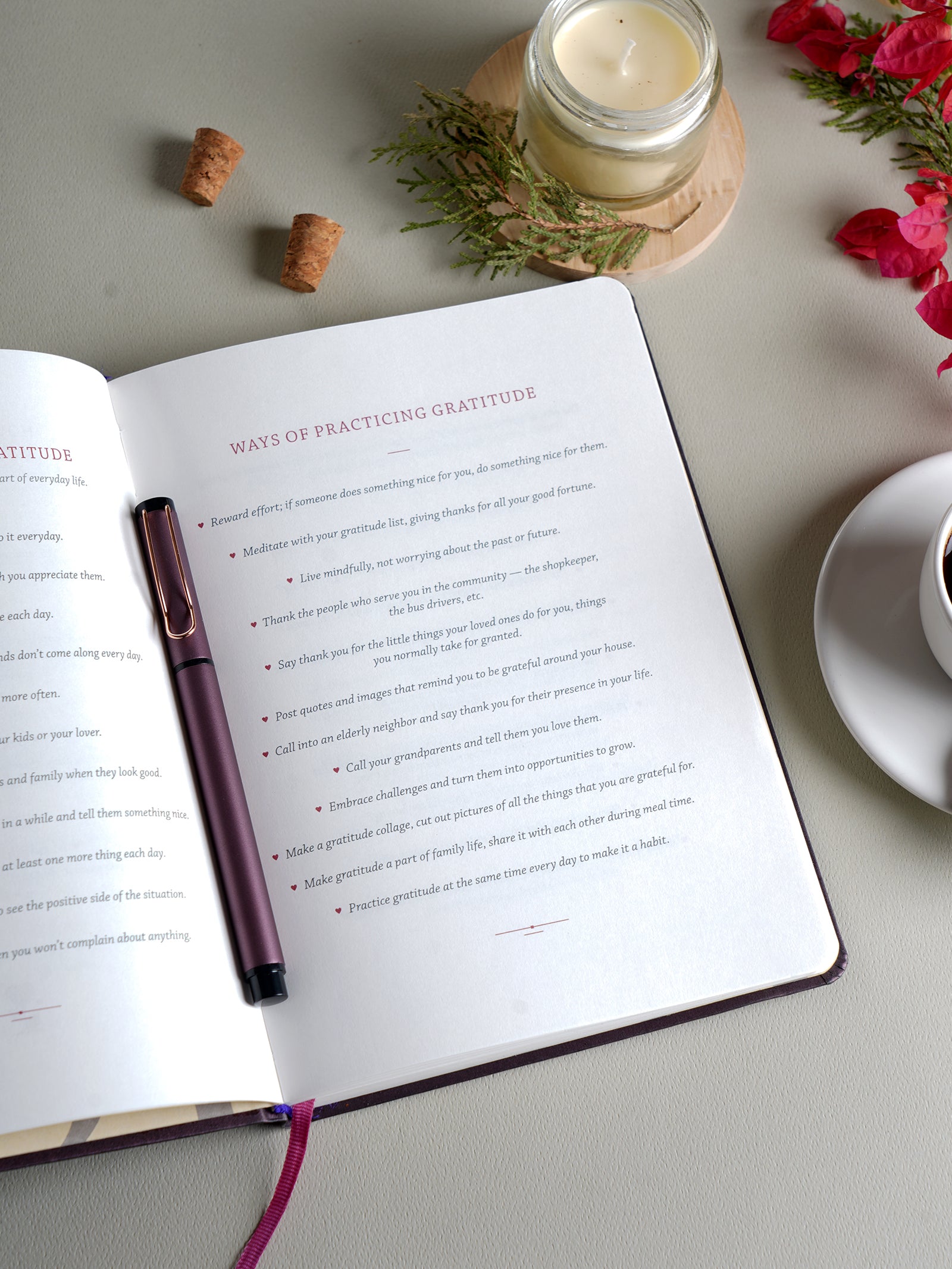 Scholar Premium Gratitude Journal - Gift Set Edition (JGR2) - Plum