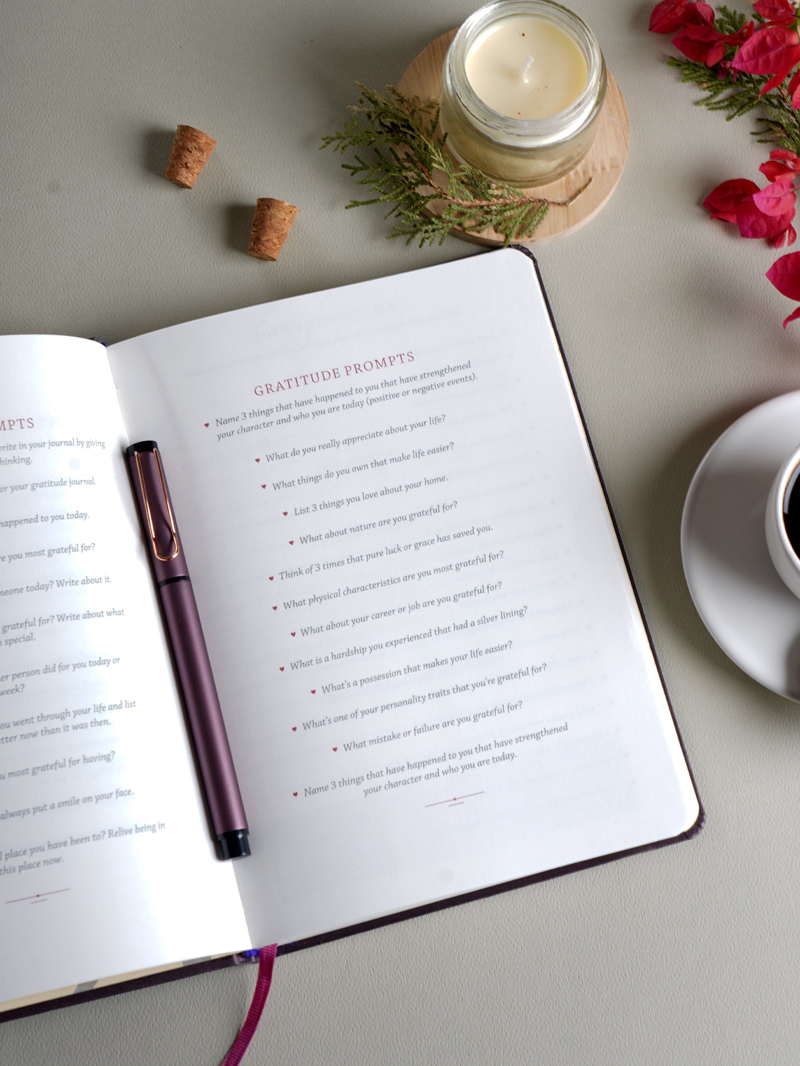 Scholar Premium Gratitude Journal - Gift Set Edition (JGR2) - Plum