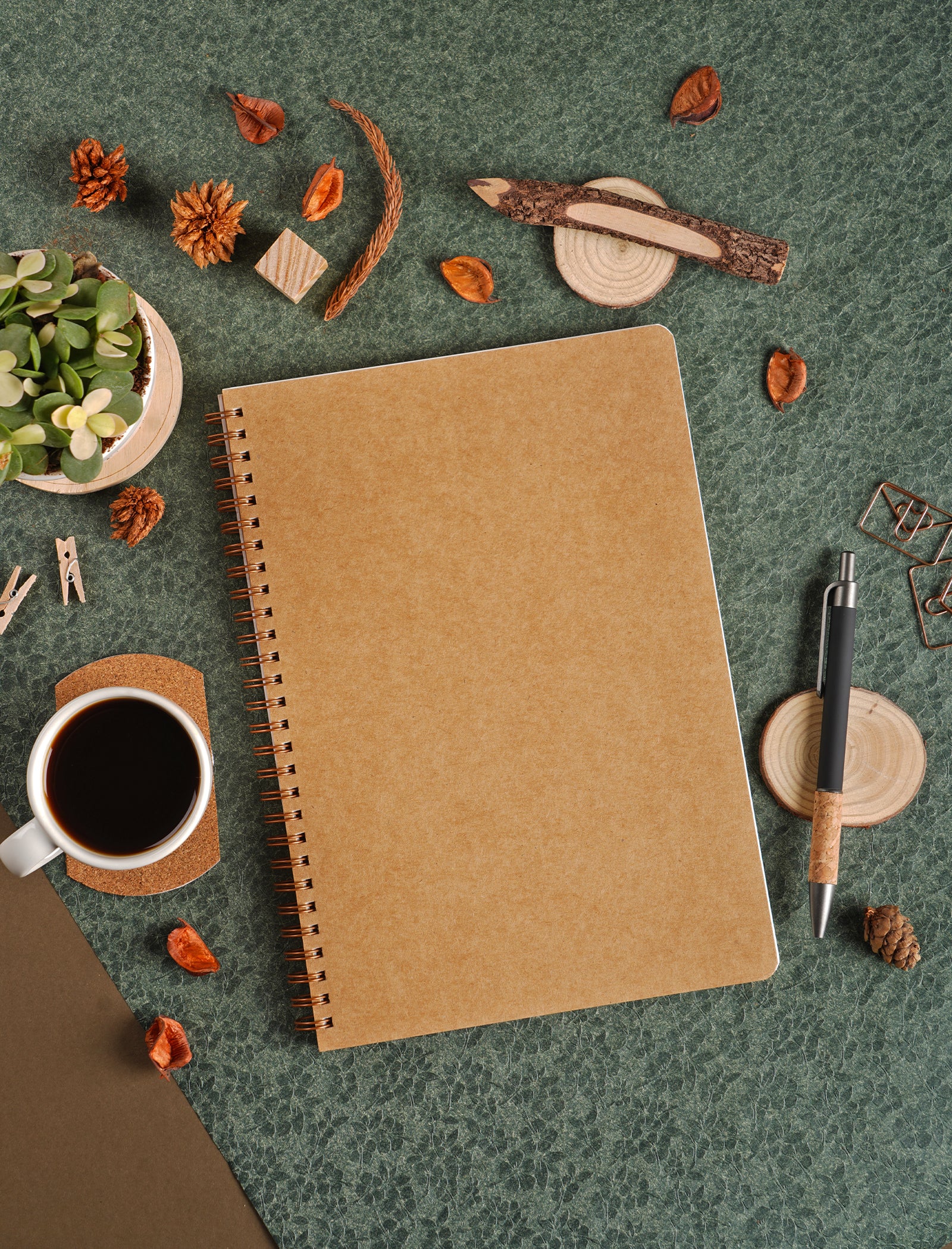 Scholar Paryavaran One Subject Notebook (PSN)