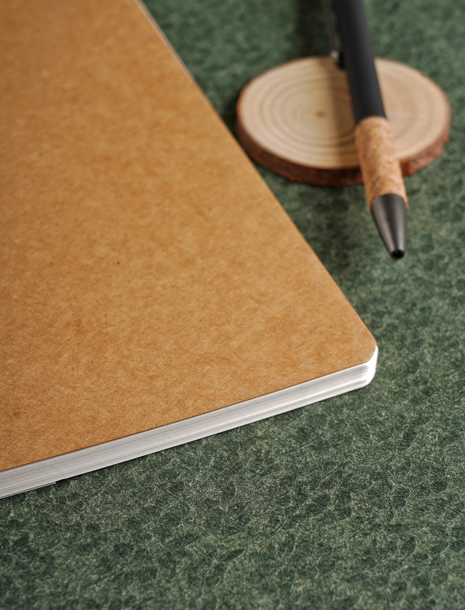 Scholar Paryavaran One Subject Notebook (PSN)