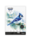 300 Gsm Watercolour Cold Pressed Paper - Loose Sheets (Heavy Textured) (WCL)